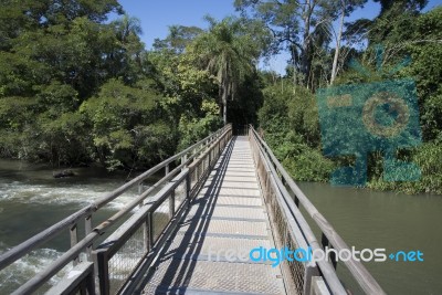 Footbridge Over The River In The Jungle Stock Photo