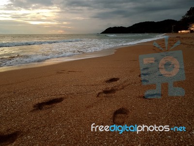 Footprint On The Beach Stock Photo