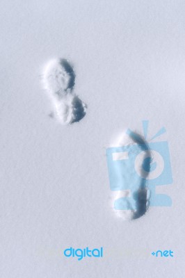 Footprints In Snow Stock Photo