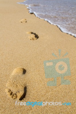 Footprints On The Shoreline Stock Photo