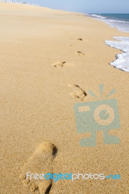 Footprints On The Shoreline Stock Photo