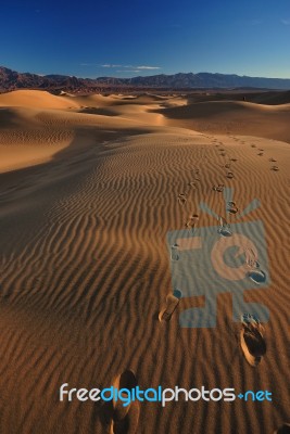 Footsteps On Mesquite Sand Dunes, Death Valley National Park Stock Photo