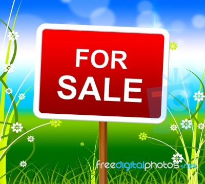 For Sale Indicates Real Estate Agent And House Stock Image