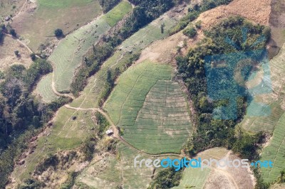 Forest Destruction In Thailand Stock Photo