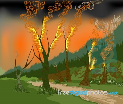 Forest Fire Stock Image