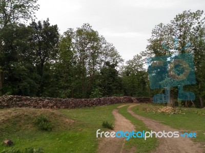 Forest Pathway Stock Photo