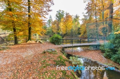 Forest Pond With Bridge In Autumn Colors Stock Photo