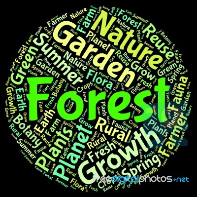 Forest Word Indicates Copse Copice And Text Stock Image