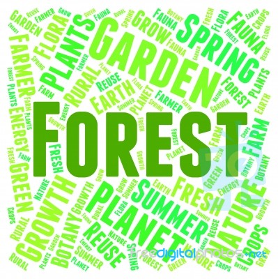 Forest Word Representing Woods Copse And Woodlands Stock Image