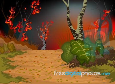 Forests Fire Stock Image