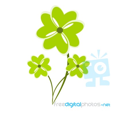 Four Clover Plants Stock Image