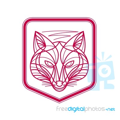 Fox Head Crest Monoline Stock Image