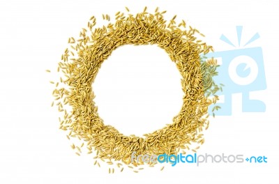 Frame By Paddy Rice And Rice Seed On The White Background For Isolated Stock Photo