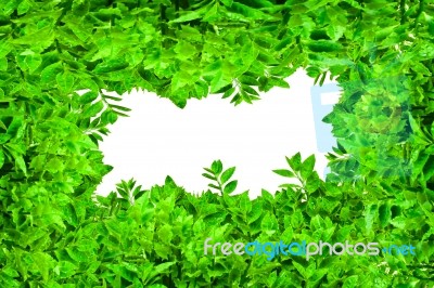 Frame From Green Leafs Isolated Stock Photo