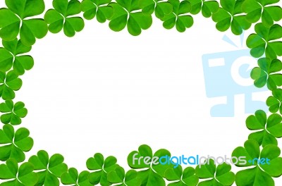 Frame From Green Leaves On White Background For Isolated, Frame By Green Leaf, Orange Leaf And Yellow Leaf Stock Photo