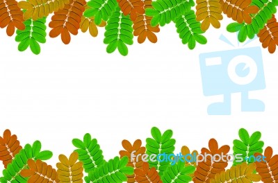 Frame From Green Leaves On White Background For Isolated, Frame By Green Leaf, Orange Leaf And Yellow Leaf Stock Photo