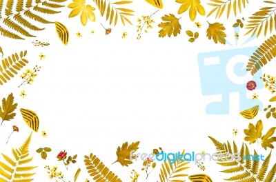 Frame From Yellow Leaves And Dry Leaves And Flower On White Background Stock Photo