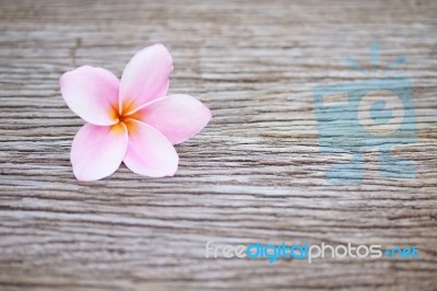 Frangipani Flower On Wooden Table Stock Photo