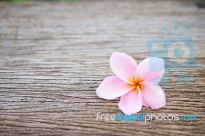 Frangipani Flower On Wooden Table Stock Photo