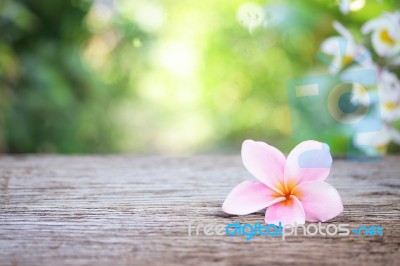 Frangipani Flower On Wooden Table Stock Photo