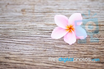 Frangipani Flower On Wooden Table Stock Photo