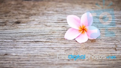 Frangipani Flower On Wooden Table Stock Photo