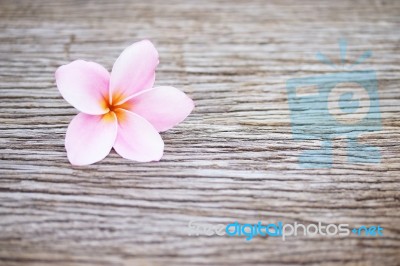 Frangipani Flower On Wooden Table Stock Photo