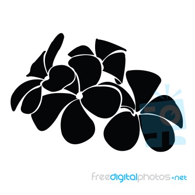 Frangipani Silhouettes For Design Stock Image