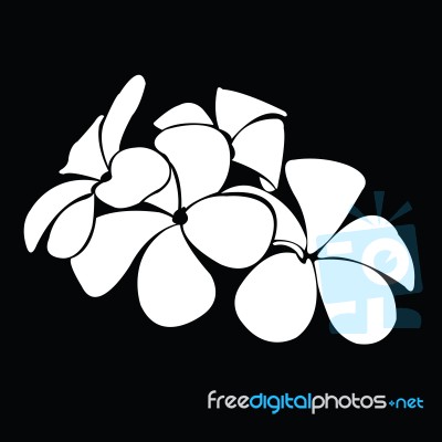 Frangipani Silhouettes For Design Stock Image