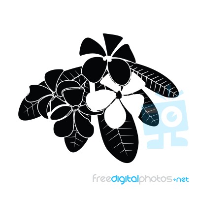 Frangipani Silhouettes For Design Stock Image