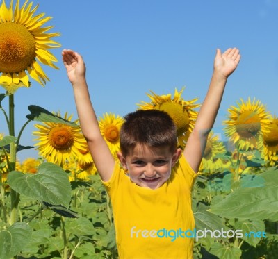 Freedom Stock Photo