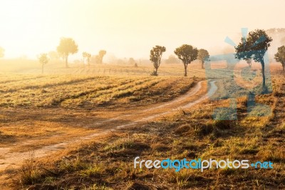 Freedom And Feel Good Concept Woman Rising Hands On Sunrise Back… Stock Photo