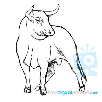 Freehand Sketch Illustration Of Bul Stock Image