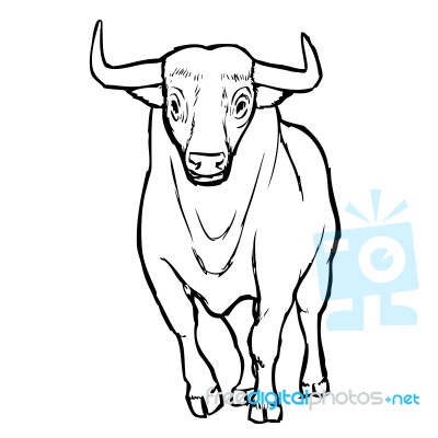 Freehand Sketch Illustration Of Bul Stock Image