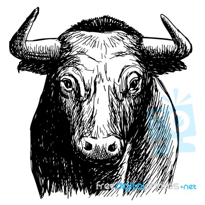 Freehand Sketch Illustration Of Bul Stock Image