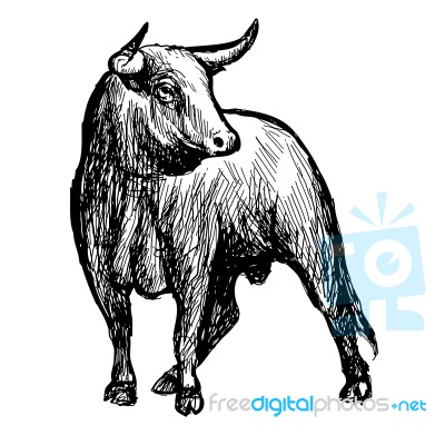 Freehand Sketch Illustration Of Bul Stock Image