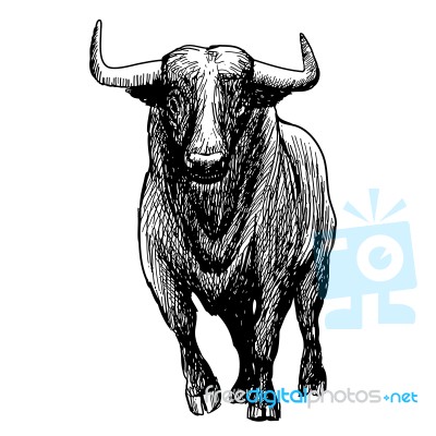 Freehand Sketch Illustration Of Bul Stock Image