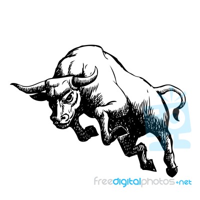 Freehand Sketch Illustration Of Charging Bull Stock Image