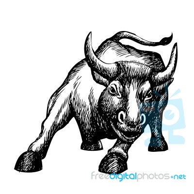 Freehand Sketch Illustration Of Charging Bull Stock Image