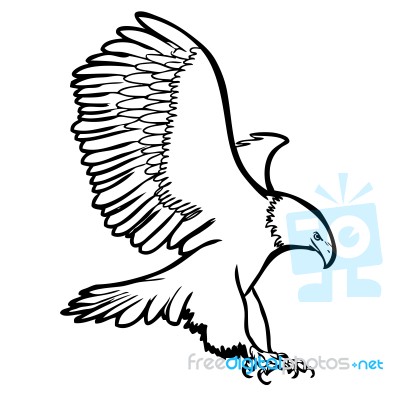 Freehand Sketch Illustration Of Eagle, Hawk Bird Stock Image