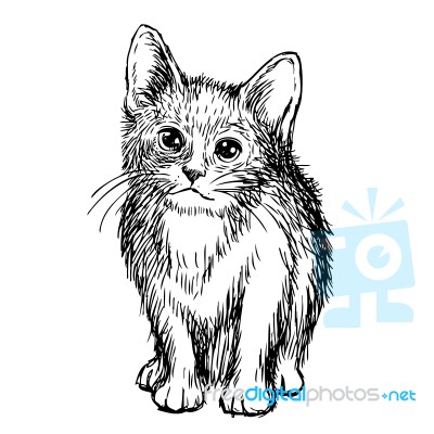 Freehand Sketch Illustration Of Little Cat Stock Image