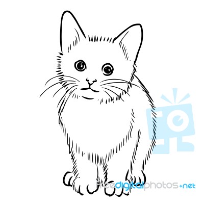 Freehand Sketch Illustration Of Little Cat Stock Image