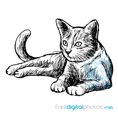 Freehand Sketch Illustration Of Little Cat Stock Image