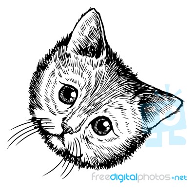 Freehand Sketch Illustration Of Little Cat, Kitten Stock Image