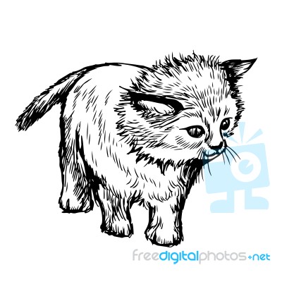 Freehand Sketch Illustration Of Little Cat, Kitten Stock Image