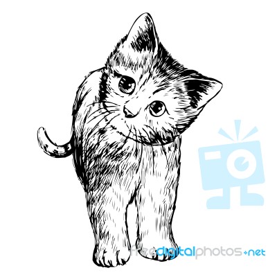 Freehand Sketch Illustration Of Little Cat, Kitten Stock Image