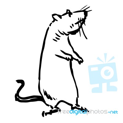 Freehand Sketch Illustration Of Rat, Mouse Stock Image