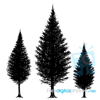 Freehand Sketch  Illustration Of Set Of Grunge Pine Tree Stock Image