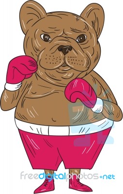 French Bulldog Boxer Boxing Stance Cartoon Stock Image