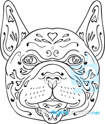 French Bulldog Head Mandala Stock Image